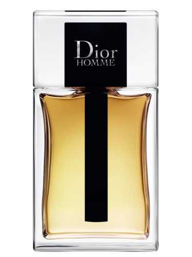 Dior - Homme