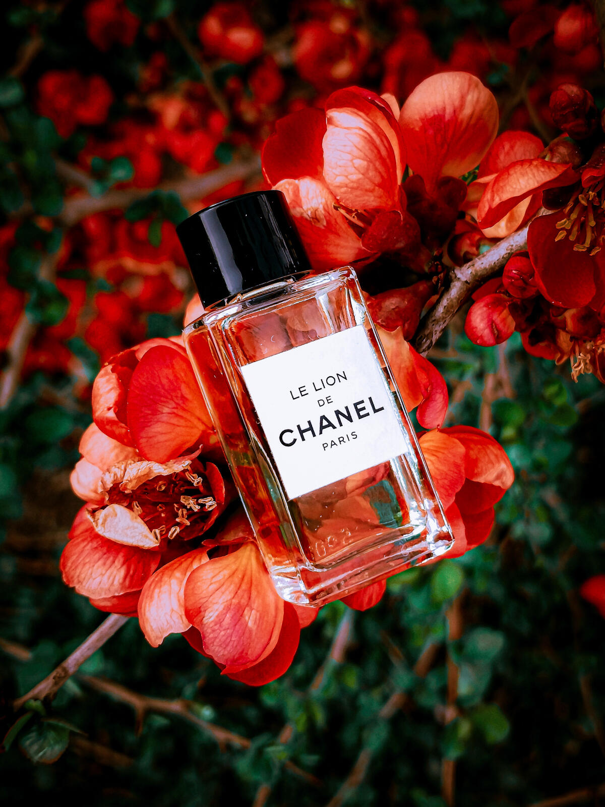 Chanel Le Lion